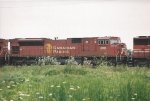 CP 9136